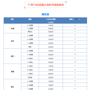 11��16��ȫ��С���r�Ј����l�r