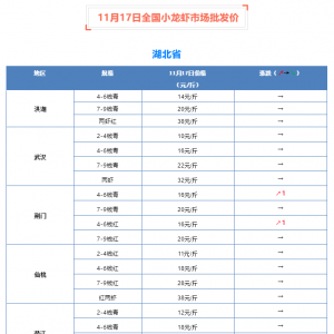 11��17��ȫ��С���r�Ј����l�r