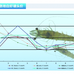 ���r�� ���㡢�A���r�r����ɫ���A�ϳ��m���ԡ�����ˮ�aǰ�ء�2019��11�¿��Ј�څ��