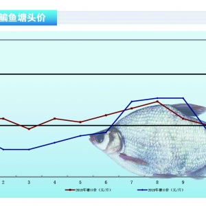 ���~�����r�R�����Ј����ԡ�����ˮ�aǰ�ء�2019��11�¿��Ј�څ��