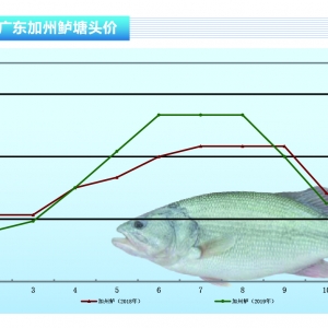 �����|�����~����������ȫ���~�r���䡪����ˮ�aǰ�ء�2019��11�¿��Ј�څ��