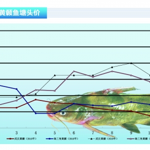 �S��~:���~���У��~�r�µ�������ˮ�aǰ�ء�2019��11�¿��Ј�څ��