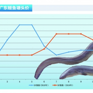 ���~���ձ��Ј��µ��������^��r�񷀶�������ˮ�aǰ�ء�2019��11�¿��Ј�څ��