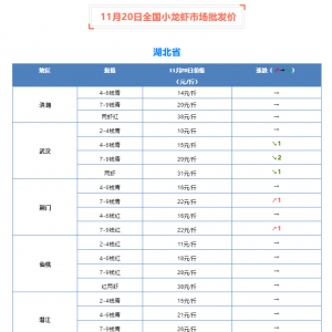 11��20��ȫ��С���r�Ј����l�r