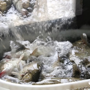 3���±���40Ԫ/���ʲô׌�Z�~������˵��ԣ�