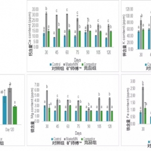 ���r�Bֳ�����ӵV����™��ˮ�w���A�ȸ�����