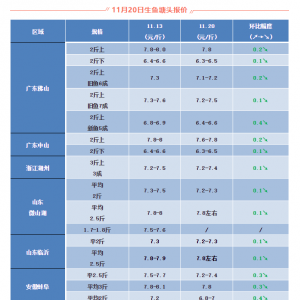 ���~������0.8Ԫ/�������~���յ���