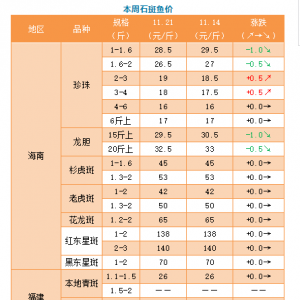 11��21�պ��ϡ��V�|������������ʯ���~�r�񲥈�