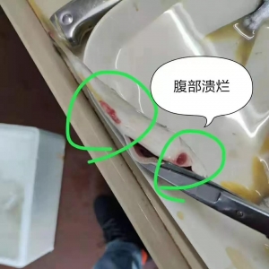 ���K�~����u��14Ԫ/��r����m�ϝq