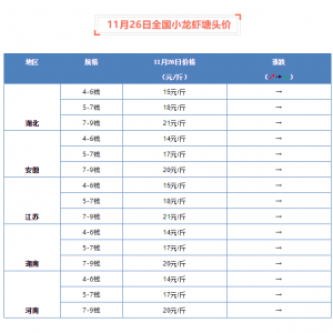 11��26��ȫ��С���r���^�r