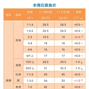 11��28�պ��ϡ��V�|������������ʯ���~�r�񲥈�