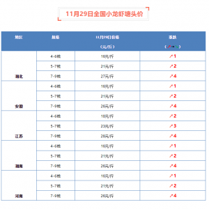 11��29��ȫ��С���r���^�r