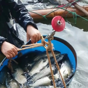 ������j��14.5Ԫ/���������K��������