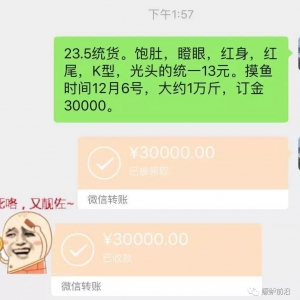 �q���@�ˣ��Z�~��q���3Ԫ/���ϧ��߀�ǳ�����С�ı���²ˣ�