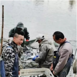 ��Ч����� 5200 Ԫ������h�����˳ɹ��D(zhu��n)�ͼ����|�B(y��ng)ֳ