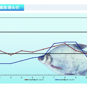 ���~�����r΢����������ԡ�����ˮ�aǰ�ء�2019��12�¿��Ј�څ��