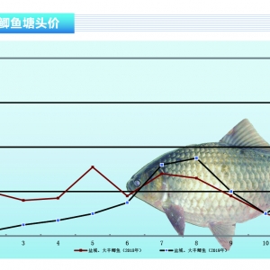 �a�~�����г��~�r�񷀡�����ˮ�aǰ�ء�2019��12�¿��Ј�څ��