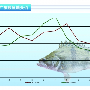 �Z�~�����~��m����, ���ڃ��ϝq���g���󡪡���ˮ�aǰ�ء�2019��12�¿��Ј�څ��