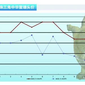 ���~���^�m(x��)С������������ˮ�a(ch��n)ǰ�ء�2019��12�¿��Ј�څ��