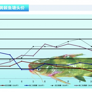 �S��~:��ͨ������ȫ���»�������ˮ�aǰ�ء�2019��12�¿��Ј�څ��