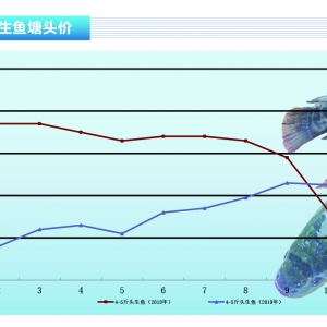 ���~�����~�����У�������m(x��)�»�������ˮ�a(ch��n)ǰ�ء�2019��12�¿��Ј�څ��