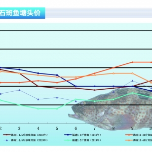 ʯ���~�����~���㣬�r(ji��)��ַ�(w��n)������ˮ�a(ch��n)ǰ�ء�2019��12�¿��Ј�څ��