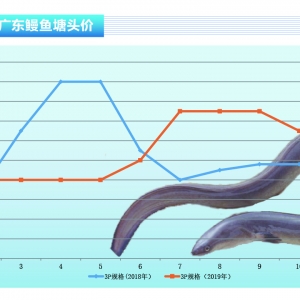 ���~���������l�r�ϝq������ˮ�aǰ�ء�2019��12�¿��Ј�څ��