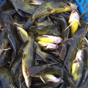 �����е���12��2�ո����S��~����r