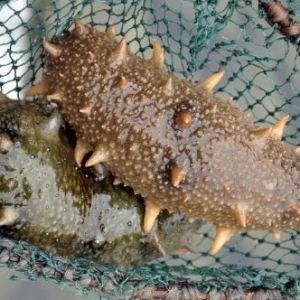 12��6�ո��؅^(q��)����ͳ�Ʒ�����ăr(ji��)��