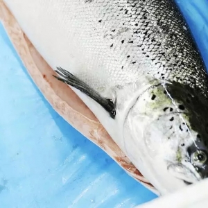 ȫ���Bֳ�������q�a�����L6.5%��ʥ�Q�����Ƅ������~�r�ϝq