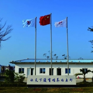 ��Ҽ��׃����