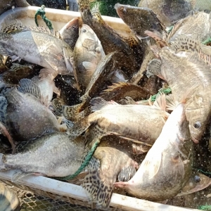 �����Нq��12��10�ո����Z�~�������^��r