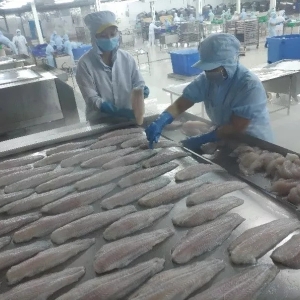 Խ�����{2019���ɳ�~�����A�ڣ������D���c�򌢵���