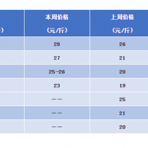 12��11�ո��a�^���r�������^��r�cһ�����麆��