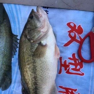 12��11�ո��a�^�����|�������^��r�c����һ�ܺ���