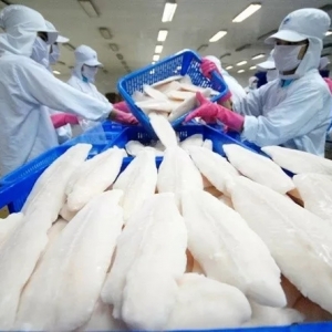 40�������ʣ�Խ�ϰ�ɳ�~�Bֳ���������B��ԭ���Ј�����򌢶�ȱ��