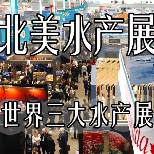 ȫ������Ӱ���ˮ�a(ch��n)չ��2020����ˮ�a(ch��n)չ�Ї��ٷ�����F(tu��n)��ļ�У��M�F(tu��n)��������ʽ�_ʼ