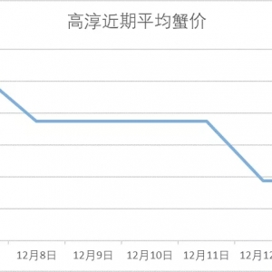 з�rƽ����12��13���d�����ߴ������顢�o�a�����ǡ����ݳ�з�r����