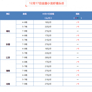 12��17��ȫ��С���r���^�r