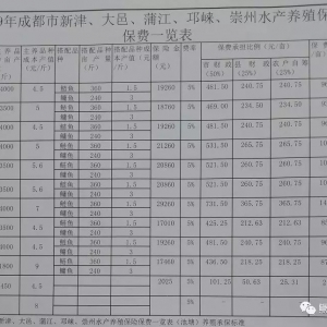 300��Ԫ���M(f��i)��߿��r�@��3�fԪ���@�ﳬ2000���B(y��ng)���Iˮ�a(ch��n)�B(y��ng)ֳ���U