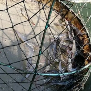 10�f���B�rˮ�����Ļ�ů���@��l����ʲô