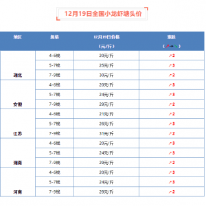 12��19��ȫ��С���r���^�r