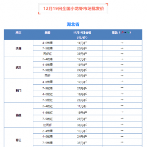 12��19��ȫ��С���r�Ј����l�r