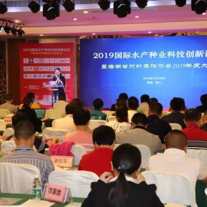 ͑׃�����ϰ딵���󶼁��ˣ��R���������r���|�����������Є���