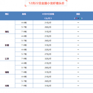 12��22��ȫ��С���r���^�r