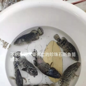 �������У�����ʯ��ȫ�ꠀ�У��F�������������u���������ʸ��_80%