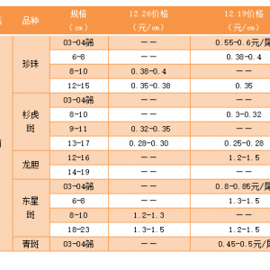 12��26�պ��ϡ��V�|������������ʯ���~�r�񲥈�