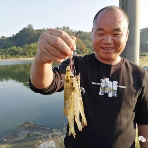 �B(y��ng)�r�����@���ַ�(w��n)ٍ��200�f