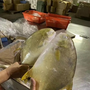 ���K�~������j��0.9Ԫ/����