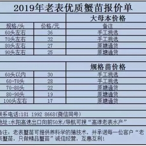 �ߴ���з΢�����d��ƽ����12��30���d�����ߴ����������o�a��з�r����